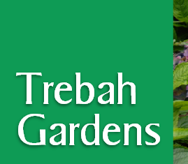 Trebah
Gardens