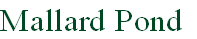 Mallard Pond
